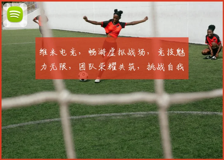 维米电竞，畅游虚拟战场，竞技魅力无限，团队荣耀共筑，挑战自我，勇攀巅峰