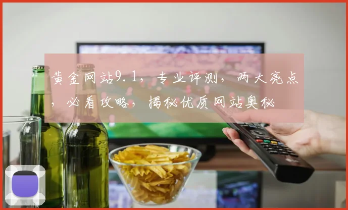 黄金网站9.1，专业评测，两大亮点，必看攻略，揭秘优质网站奥秘