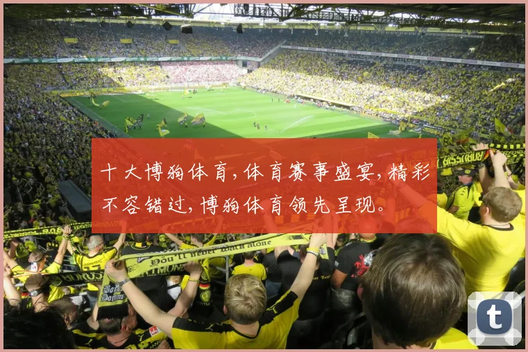 十大博狗体育,体育赛事盛宴,精彩不容错过,博狗体育领先呈现。