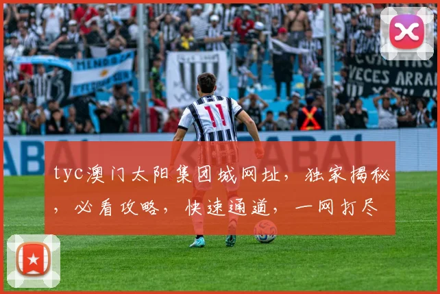 tyc澳门太阳集团城网址，独家揭秘，必看攻略，快速通道，一网打尽