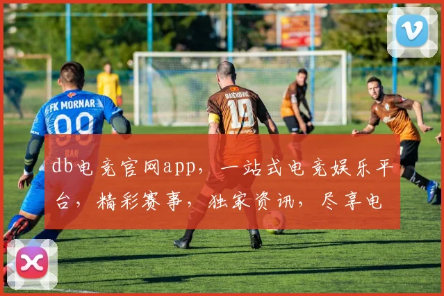 db电竞官网app，一站式电竞娱乐平台，精彩赛事，独家资讯，尽享电竞盛宴，不容错过